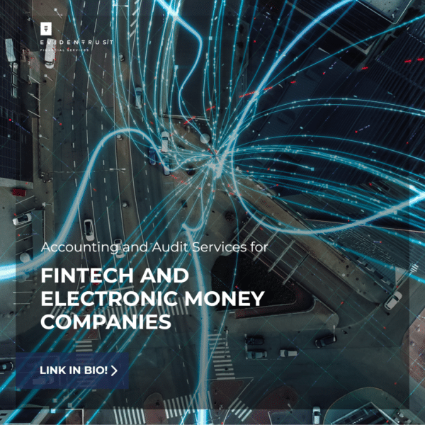 Accounting and Audit Services for Fintech and Electronic Money Companies in Cyprus Year-End Accounting & Tax Planning in Cyprus
