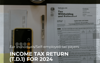 Evidentrust Financial Services Ltd | Personal Income Tax Return 2024